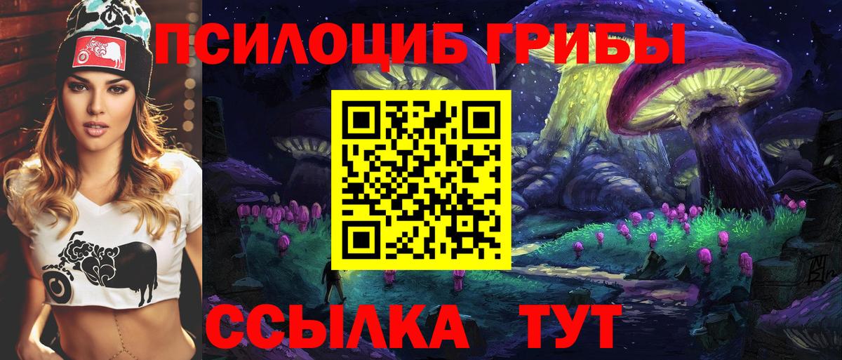 Псилоцибиновые грибы Psilocybine cubensis Зеленодольск