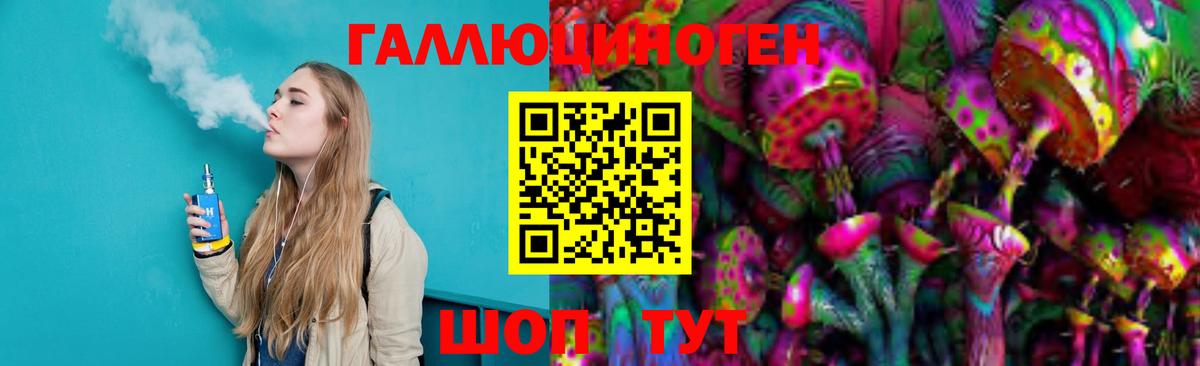 как найти   Вход с VPN  Зеленодольск  Псилоцибиновые грибы Psilocybine cubensis  Псилоцибиновые грибы мицелий 